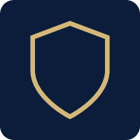 icon 19